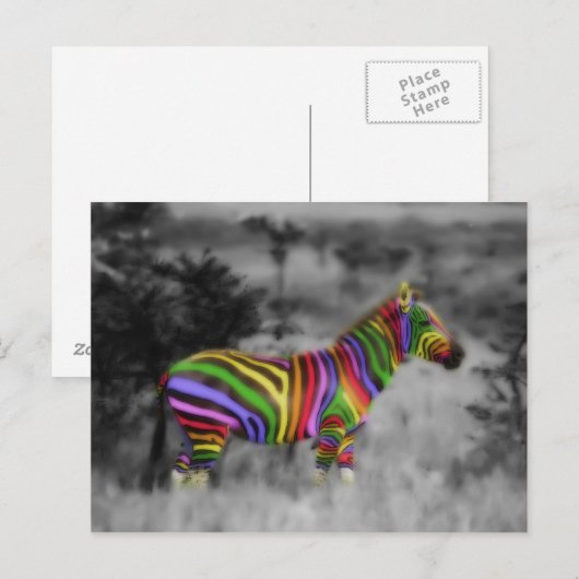 Rainbow Zebra Postkarte (Vorne/Hinten)