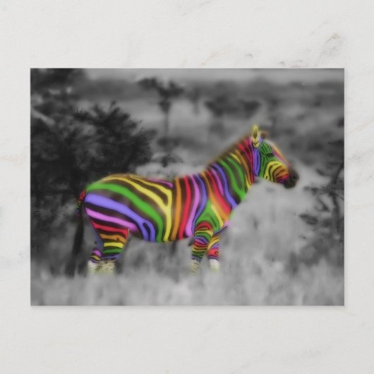 Rainbow Zebra Postkarte (Vorderseite)