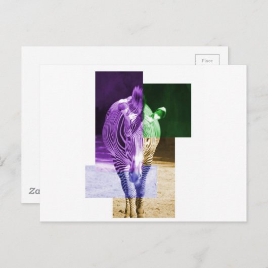 Rainbow Zebra Postkarte (Vorne/Hinten)
