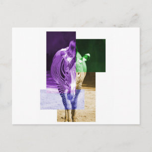 Rainbow Zebra Postkarte