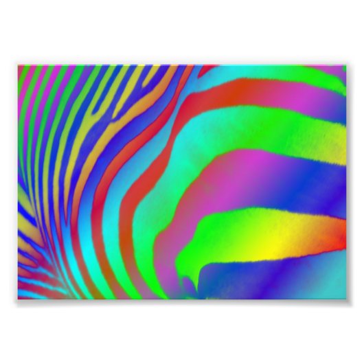Rainbow Zebra Print Fotodruck (Vorne)