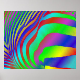 Rainbow Zebra Print Poster