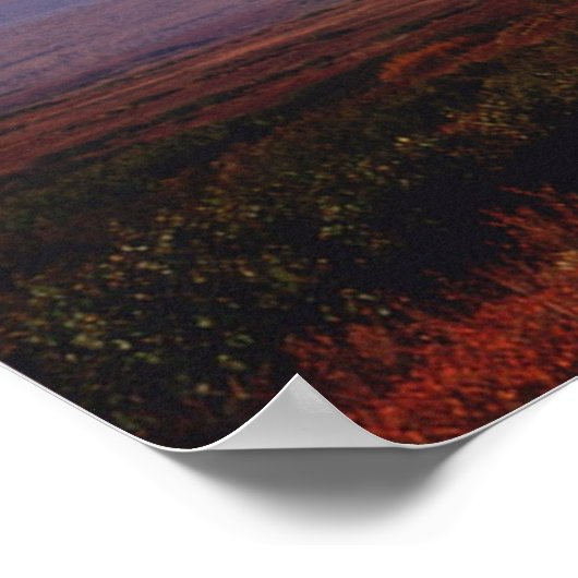 Rainbow's Beauty Poster (Ecke)