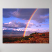 Rainbow's Beauty Poster (Vorne)