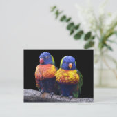 Rainbows Postcard Postkarte (Stehend Vorderseite)