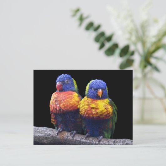 Rainbows Postcard Postkarte (Stehend Vorderseite)