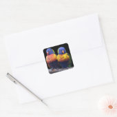 Rainbows Sticker (Umschlag)