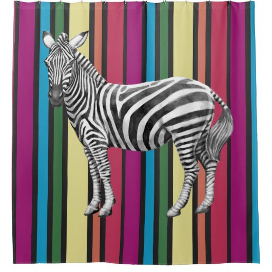 Rainbows und Zebras Duschvorhang (Vorderseite)
