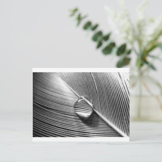 Raindrop am Leaf Postkarte (Stehend Vorderseite)