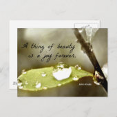 Raindrop auf Blatt, mit Zitat: "Eine Sache der Sch Postkarte (Vorne/Hinten)