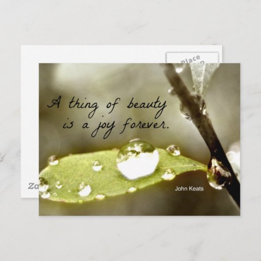 Raindrop auf Blatt, mit Zitat: "Eine Sache der Sch Postkarte (Vorne/Hinten)