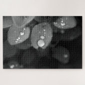 Raindrop auf der linken Seite Puzzle (Horizontal)