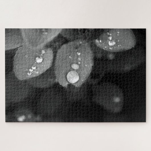 Raindrop auf der linken Seite Puzzle (Horizontal)