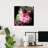 Raindrop auf Kaladium-Plakat / Wand-Kunst Poster (Heimbüro)