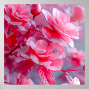 Raindrop Blush Pink Blossom Poster