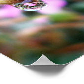 Raindrop hält Reflektion Poster (Ecke)