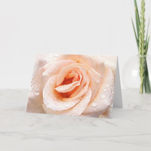 Raindrop rose greeting card karte (Vorderseite)