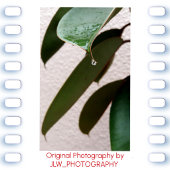 Raindrop über Leaf William Blake Zitat Wandteppich Mit Holzrahmen