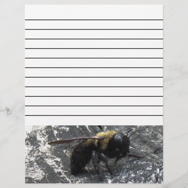 Raindrops (Vorderseite)