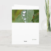 Raindrops and Green Leaves Folded Thank You Card Dankeskarte (Rückseite)