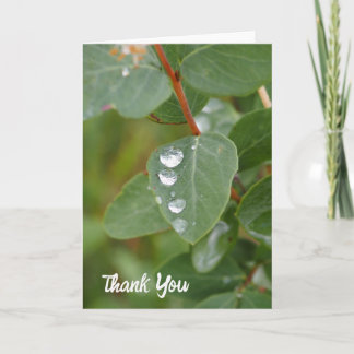 Raindrops and Green Leaves Folded Thank You Card Dankeskarte