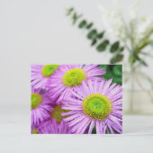 Raindrops auf Asters Postkarte (Stehend Vorderseite)