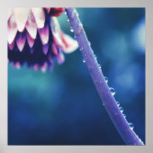 Raindrops auf Blume-Stem-Macro Abstrakt Poster (Vorne)