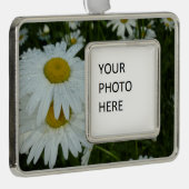 Raindrops auf Daisies Wildblume Floral Rahmen-Ornament Silber (Rechts)