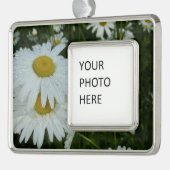 Raindrops auf Daisies Wildblume Floral Rahmen-Ornament Silber (Links)