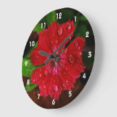 Raindrops auf dem schönen Red Dianthus Blume Foto Große Wanduhr (Winkel)