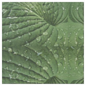 Raindrops auf der Abstrakten Dachterrasse Stoff (Nahaufnahme)