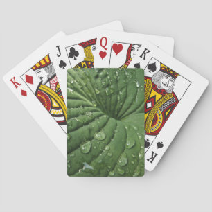 Raindrops auf der Jugendherberge Leaf Spielkarten