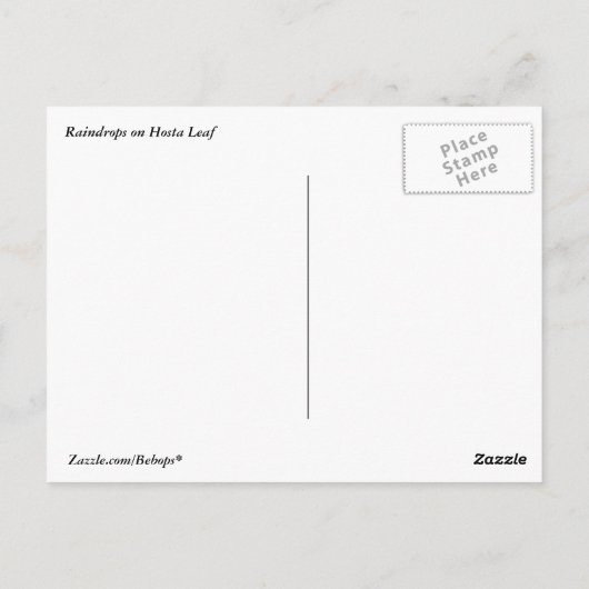 Raindrops auf der Postkarte von Hosta Leaf (Rückseite)