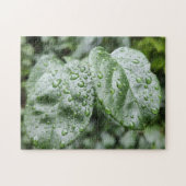 Raindrops auf dunkelgrünen Blätter Puzzle (Horizontal)