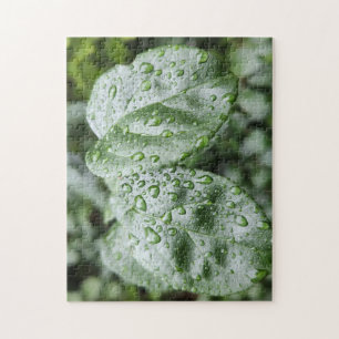 Raindrops auf dunkelgrünen Blätter Puzzle