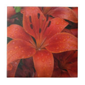 Raindrops auf einer Lily Fliese (Vorderseite)