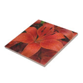 Raindrops auf einer Lily Fliese (Seite)