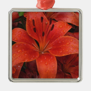 Raindrops auf einer Lily Silbernes Ornament