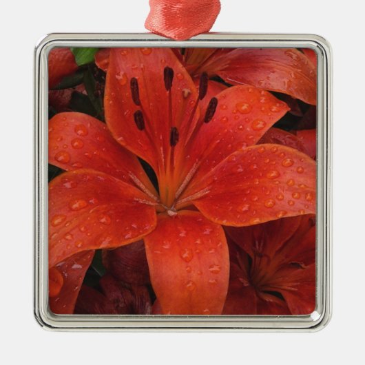 Raindrops auf einer Lily Silbernes Ornament (Vorne)