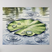 Raindrops auf einer Lilypad Poster (Vorne)