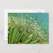 Raindrops auf Leuchten Postkarte (Vorne/Hinten)