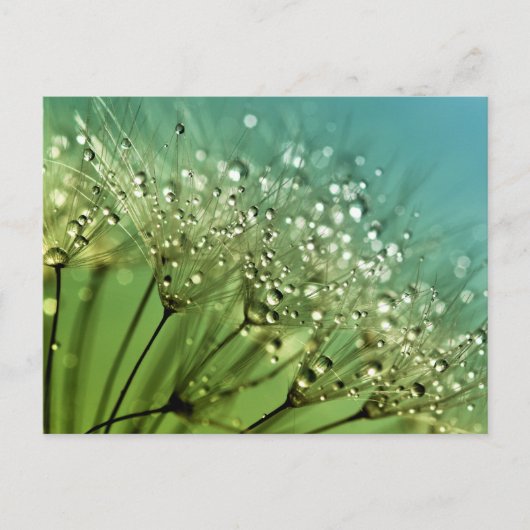 Raindrops auf Leuchten Postkarte (Vorderseite)