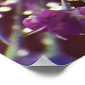 Raindrops auf Lila Allium Blume Macro Abstrakt Poster (Ecke)