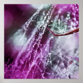 Raindrops auf Lila Cobweb Macro Abstrakt Poster (Vorne)