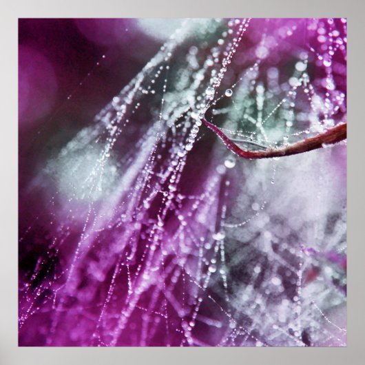 Raindrops auf Lila Cobweb Macro Abstrakt Poster (Vorne)
