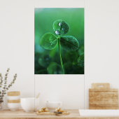 Raindrops auf Macro für Green Clover Blätter Poster (Küche)