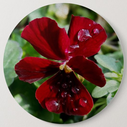 Raindrops auf Panik Button (Vorderseite)