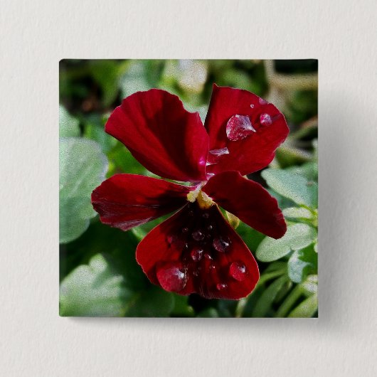 Raindrops auf Panik Button (Vorderseite)