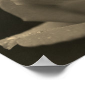 Raindrops auf Rosenknospe in Sepia Tint Poster (Ecke)