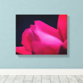 Raindrops auf roter Rosenknospe Leinwanddruck (Insitu (Holzboden))